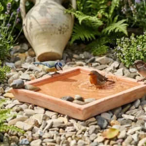Untersetzer als Vogeltränke nutzbar eckig frostfest terracotta Größen wählbar