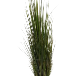 Künstliches Gras - Hanno, 120 cm, Kunstpflanze von aplanta, in Grün, für drinnen