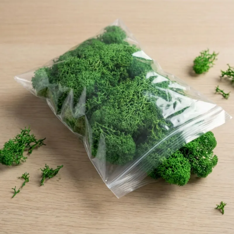 Decorative reindeer moss - Green - 1 Bag - 50g
