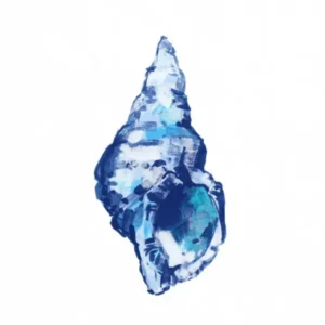 Blue Seashell On White Background No 2