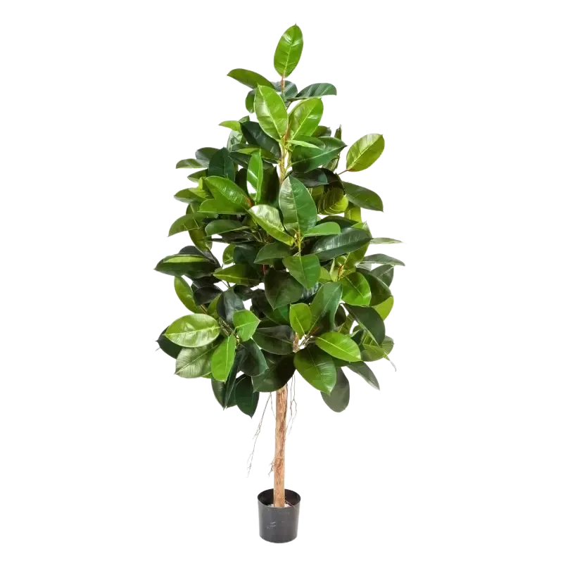 Künstlicher Gummibaum - Karim, 140 cm, Kunstbaum von aplanta, mit Echtholzstamm, im schwarzen Topf, in Natur, für drinnen