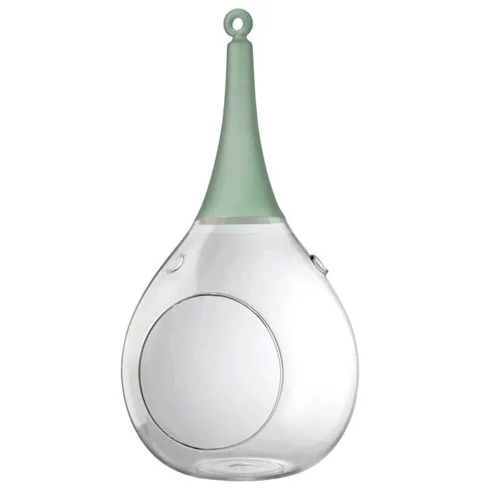Taura grün groß Windlicht zum aufhängen Glas Hängedekoration – Teelichthalter / Teelichtglas – stilvolles Wohnaccessoire & De