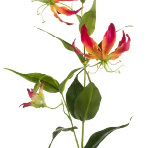 Ruhmeskrone künstlich 75 cm - 1 Stiel - Fuchsienrot / Gelb