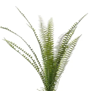 Schwertfarn künstlich 60 cm - 1 Steckstab - Grün