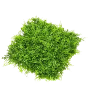 Künstliche Farn und Wacholder Matte - Nisa, 5 cm, Kunstpflanze von aplanta, UV-beständig, in Natur, für draußen