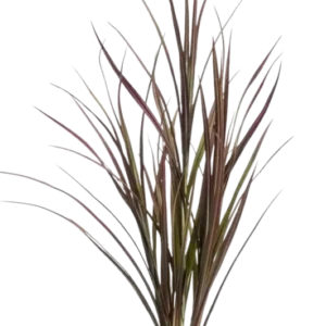 Künstliches Gras - Merle, 90 cm, Kunstpflanze von aplanta, UV-beständig, in Rot, für draußen