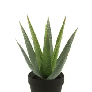Künstliche Aloe - Patty, 30 cm, Kunstpflanze von aplanta, im schwarzen Topf, in Natur, für drinnen