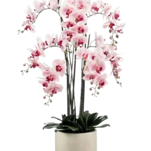 Künstliche Orchidee - Leo, 100 cm, Kunstblume von aplanta, inkl. Dekotopf, in Natur, für drinnen