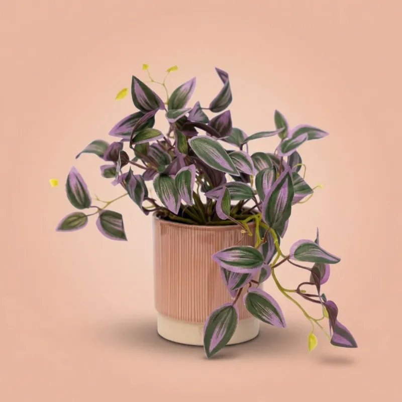 Tradescantia - Hanging plant in pot - Artificial plant - Green/purple - ↑ 19 cm