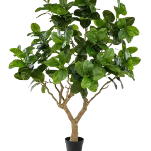 Künstlicher Gummibaum - Temptus, 240 cm, Kunstbaum von aplanta, in Grün, für drinnen