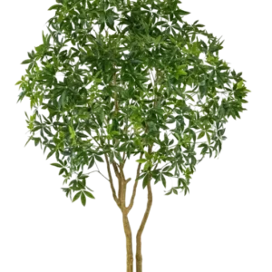 Künstliche Glückskastanie - Mitsu, 285 cm, Kunstbaum von aplanta, in Grün, für drinnen