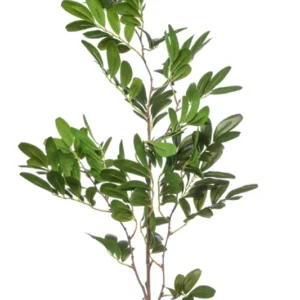 Pistazie künstlich 90 cm - 1 Zweig - Grün