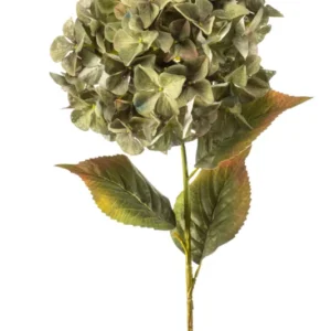 Hortensie XXL künstlich 90 cm - 1 Kopf - Grün