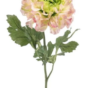 Ranunkel XL künstlich 60 cm - 1 Stiel - Rosa/grün