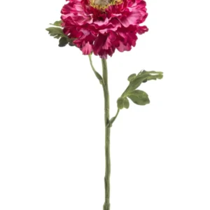 Ranunkel künstlich 60 cm - 1 Stiel - Fuchsienrot
