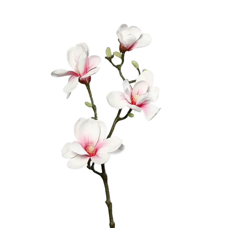 Künstliche Magnolien Zweig - Lea, 80 cm, Kunstpflanze von aplanta, in Weiß-rosa, für drinnen