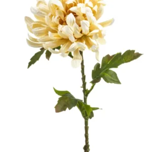Chrysantheme künstlich 60 cm - 1 Stiel - Creme