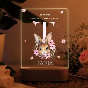 Individuelle Acryl Lampe zur Geburt mit Bunny Aquarell – Geschenk für Mädchen mit Wunschname