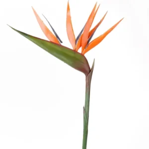 Papageienblume künstlich 90 cm - 1 Stiel - Orange