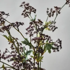 Artificial branch, HDMeadow, Bordeaux