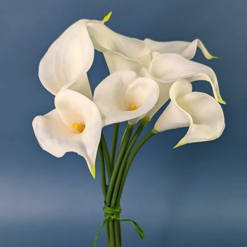 Sieben weiße Calla-Seidenblumen als Bund vor blauem Hintergrund