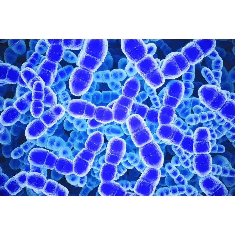 Medical Office Art - Bacteria backdrop