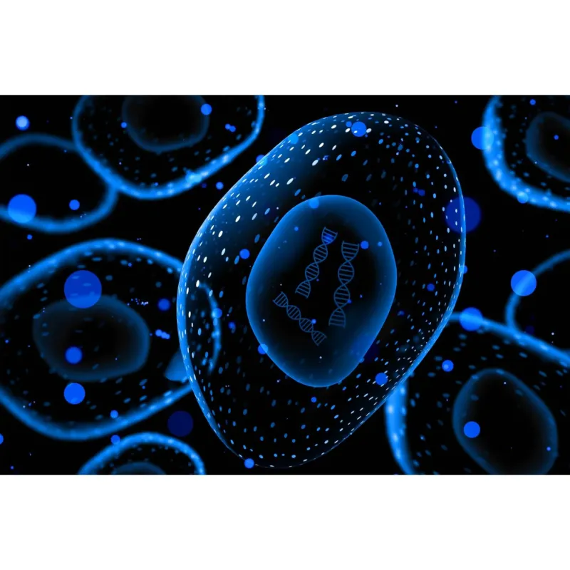 Medical Office Art - Bacteria with dna