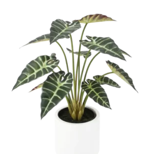 Künstliche Alocasia - Tamika, 68 cm, Kunstpflanze von aplanta, inkl. Dekotopf, in Grün, für drinnen