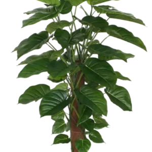 Künstlicher Pothos - Elowyn, 120 cm, Kunstpflanze von aplanta, in Grün, für drinnen