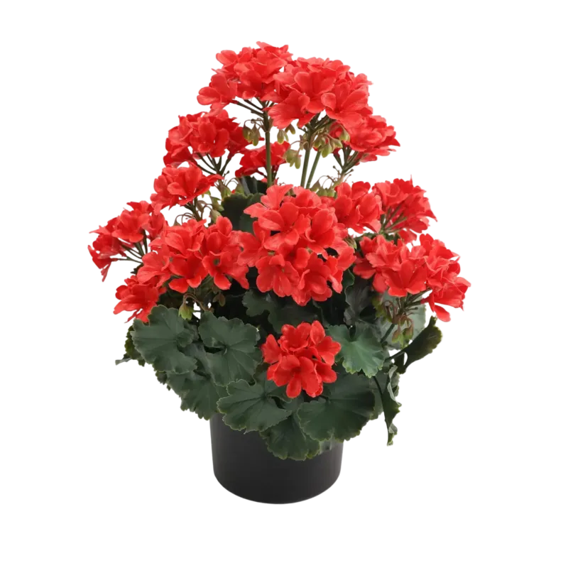 Künstliche Geranie - Letizia | 45 cm