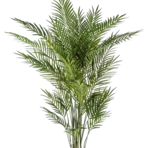Künstliche Goldfruchtpalme - Eva, 205 cm, Kunstbaum von aplanta, im schwarzen Topf, in Natur, für drinnen