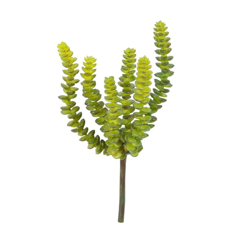 Künstliche Crassula - Hedi, 17 cm, Kunstpflanze von aplanta, Steckpflanze, für drinnen