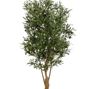 Künstlicher Olivenbaum - Ian, 150 cm, Kunstbaum von aplanta, mit Echtholzstamm, in Natur, für drinnen
