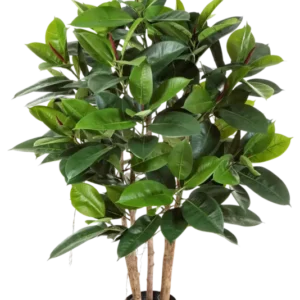 Künstlicher Gummibaum - Laura, 120 cm, Kunstbaum von aplanta, mit Echtholzstamm, in Natur, für drinnen
