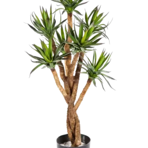 Künstliche Agave - Prince, 70 cm, Kunstbaum von aplanta, im schwarzen Topf, in Natur, für drinnen