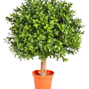 Künstlicher Buchsbaum - Rico, 40 cm, Kunstbaum von aplanta, mit Echtholzstamm, im schwarzen Topf, in Natur, für drinnen