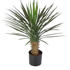 Künstliche Yucca Rostrata Palme - Sven, 82 cm, Kunstbaum von aplanta, in Natur, für drinnen