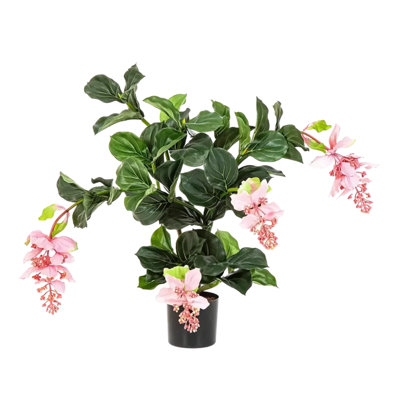 Künstliche Medinilla magnifica - Penelope, 78 cm, Kunstpflanze von aplanta, in Pink, für drinnen
