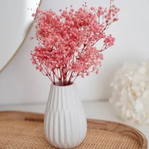 Trockenblumenstrauß Schleierkraut rosa Bund klein