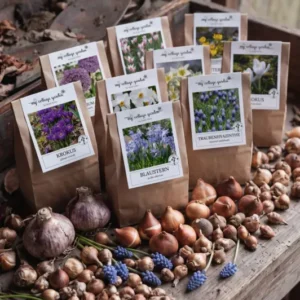 Futterglück für Biene & Co. | 150 Tage Blüten