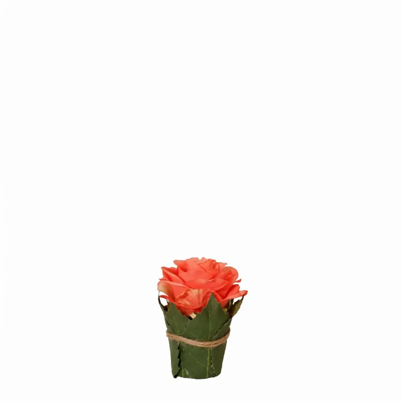 Composition Rose entourée de feuilles