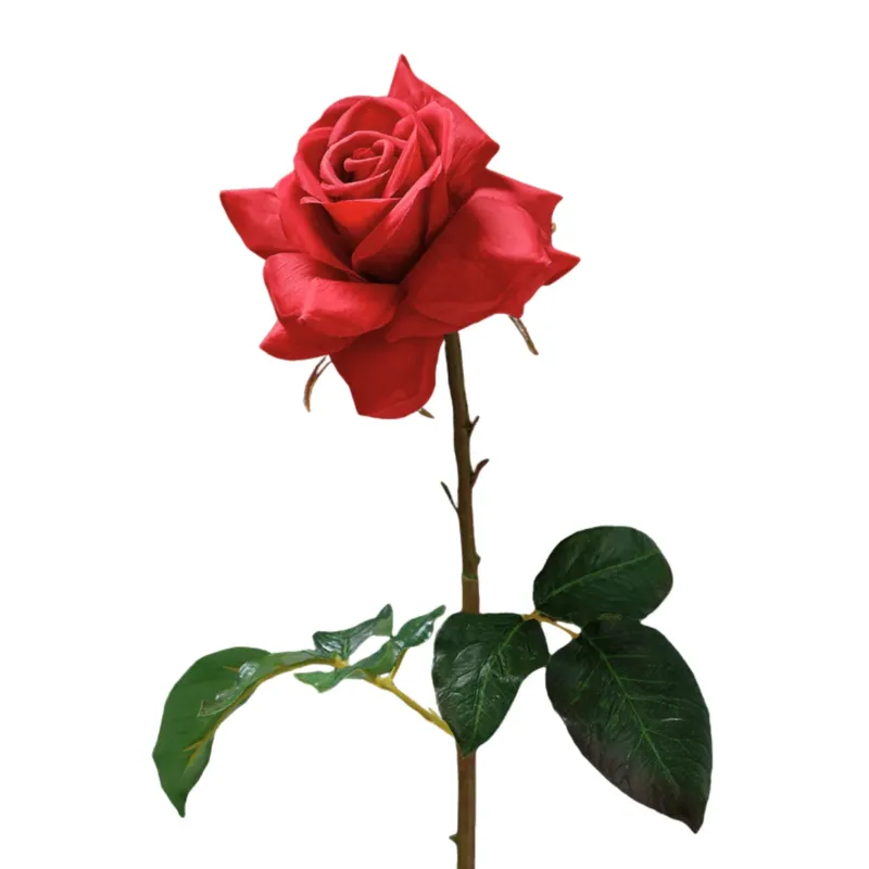 Tige de Rose ouverte Premium 50cm