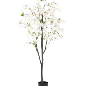 Die künstliche Kirschblüte 180 cm weiß ist ein hoher Kunstbaum mit mehreren dunkelbraunen Zweigen, weißen Blüten und grünen Blättern in einem schlichten schwarzen Topf vor einem schlichten weißen Hintergrund.
