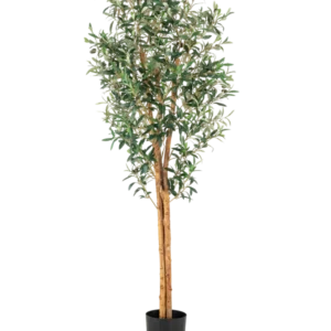 Der künstliche Olivenbaum UV 160 cm ist ein hoher künstlicher Olivenbaum mit schlanken Zweigen, grünen Blättern und einem Stamm mit realistischer Struktur in einem schlichten schwarzen Topf vor weißem Hintergrund.