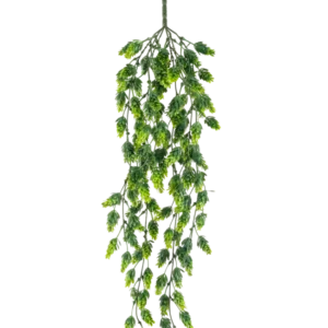 Die künstliche Hängepflanze Hopfen UV 80 cm ist eine hängende Kunstpflanze mit kaskadierenden grünen Blättern an langen, schlanken Stielen, isoliert auf weißem Hintergrund.