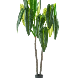 De Kunstplant Anthurium 240 cm is een hoge kunstplant in pot met twee bruine stelen en grote, langwerpige groene bladeren tegen een effen witte achtergrond.