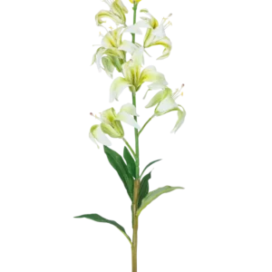 Die künstliche Blumen-Martagon-Lilie 78 cm weiß hat einen langen Stiel mit mehreren weißen Lilienblüten und -knospen, einem gelben Herzen und grünen Blättern, isoliert auf weißem Hintergrund.
