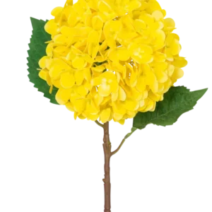 Die künstliche Blumenhortensie Real Touch gelb 58 cm besteht aus einer einzelnen gelben Hortensie mit geschichteten Blütenblättern, zwei großen grünen Blättern und einem braunen Stiel vor einem schlichten weißen Hintergrund.