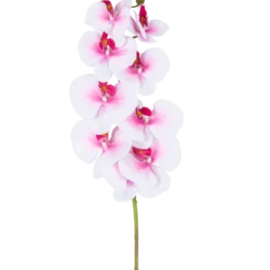 Die künstliche Orchidee Real Touch Deluxe 105 cm rosa/weiß hat einen einzelnen rosafarbenen künstlichen Phalaenopsis-Stiel mit weißen Akzenten, realistischen Seidenblumen und Knospen, die alle elegant auf einem weißen Hintergrund präsentiert werden.