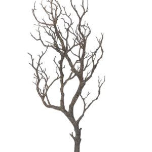 Der Art-Dekorationszweig 89 cm zeigt einen Baum ohne Blätter mit vielen dünnen, gewundenen Ästen vor einem schlichten weißen Hintergrund.